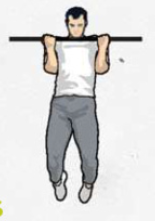 chin-ups