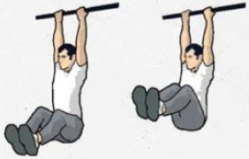 hanging garhammer leg raises