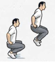 jumping squats