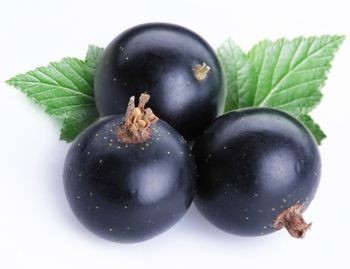 blackcurrants