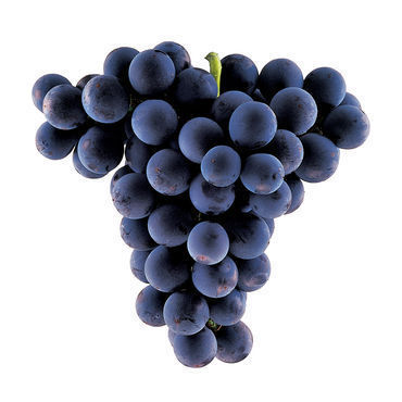 grapes