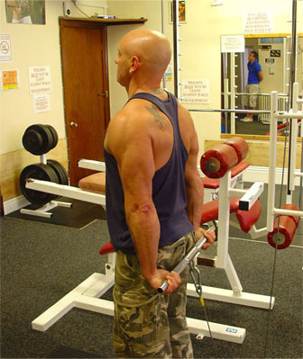 machines and cables for back