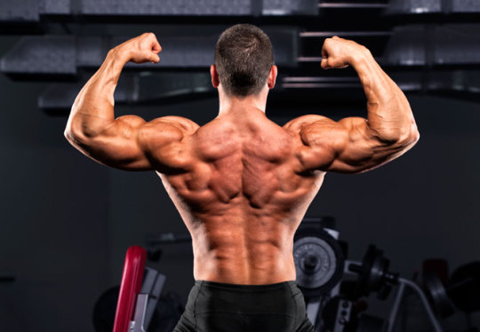 Supplements and the Anabolic Diet