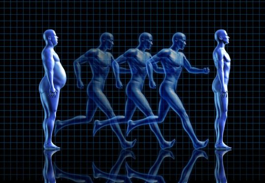 Sample Weight Loss, or “Cutting”, Diet