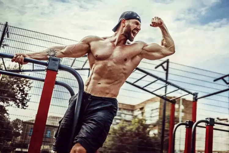 Best Steroids for Sale Available For Bodybuilding